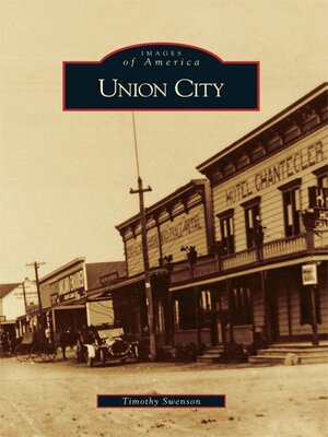 Union City - ebook
